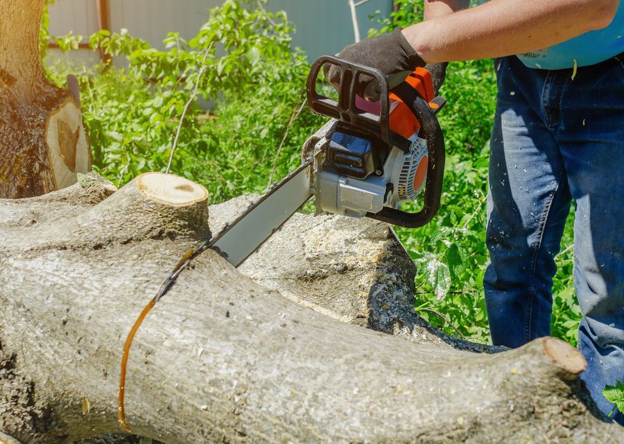 Tree removal work by Precision Tree Service in Park Ridge, IL