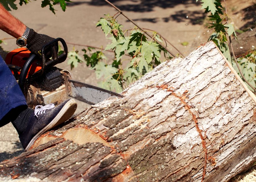 Tree removal work by Grealish Tree Service in Dacula, GA