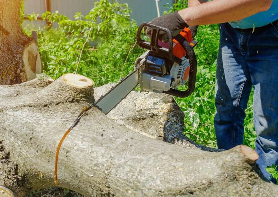 Tree removal work by Corona Tree Service LLC in Whiting, IN