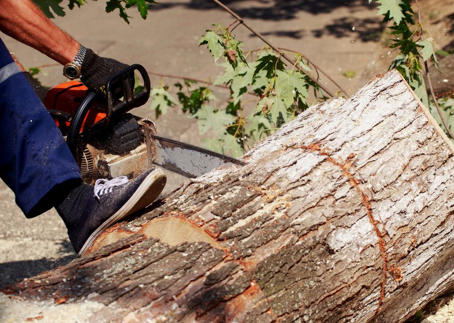 Tree removal work by Cheap Peter Tree Service in Titusville, FL