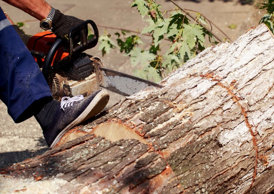 Tree removal work by Nassau Tree Service in Naperville, IL