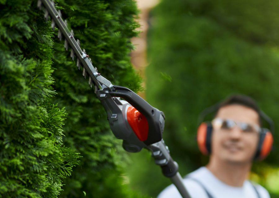 Tree trimming and pruning by Tall Tree Service in Crowley, TX