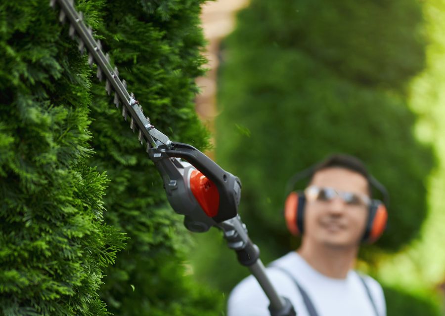 Tree trimming and pruning by Nature Tree Service in Portsmouth, NH