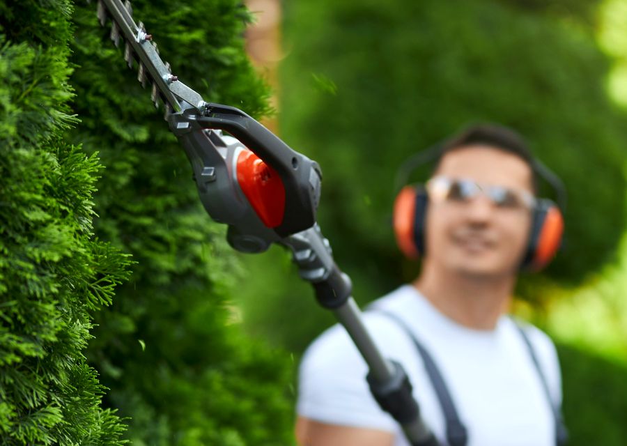 Tree trimming and pruning by Alpha Tree Care Company in Rockwood, PA