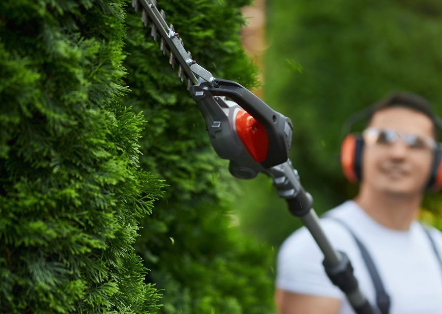 Tree trimming and pruning by Arvada Tree Service LLC in Jennerstown, PA