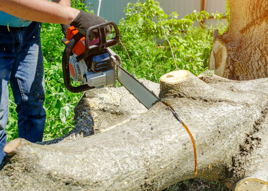 Tree trimming and pruning by K & S Tree Care, Inc in Matteson, IL