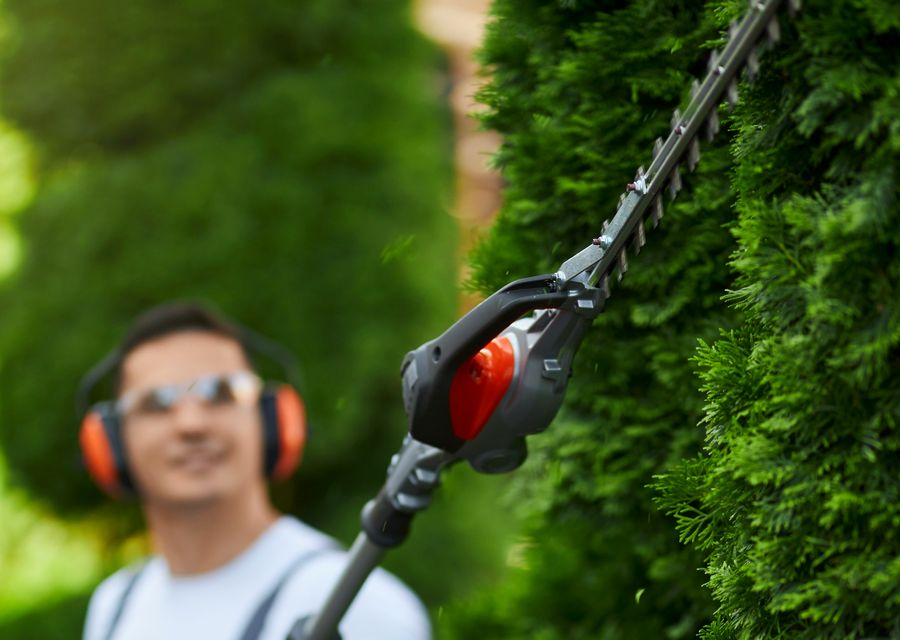 Tree trimming and pruning by Luna's Tree Service in Elkhorn, NE