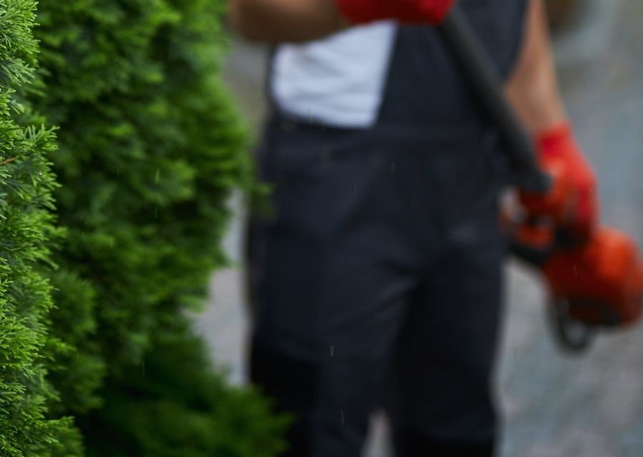 Tree trimming and pruning by Meinhart's Tree Service in Springfield, NE