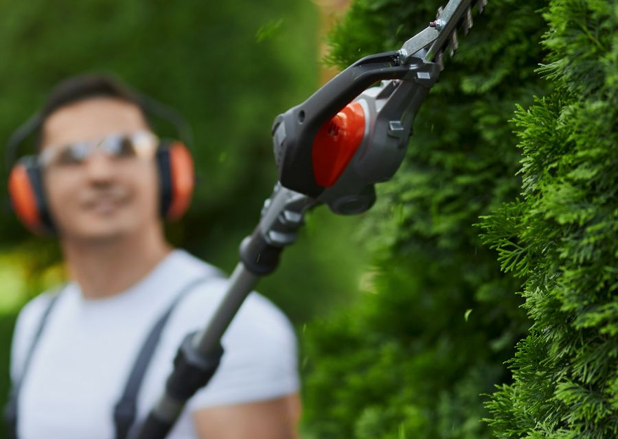 Tree trimming and pruning by Ismael's Tree Service in Hollidaysburg, PA