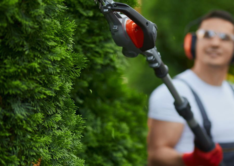 Tree trimming and pruning by Westhampton Tree Works in Warrenville, IL