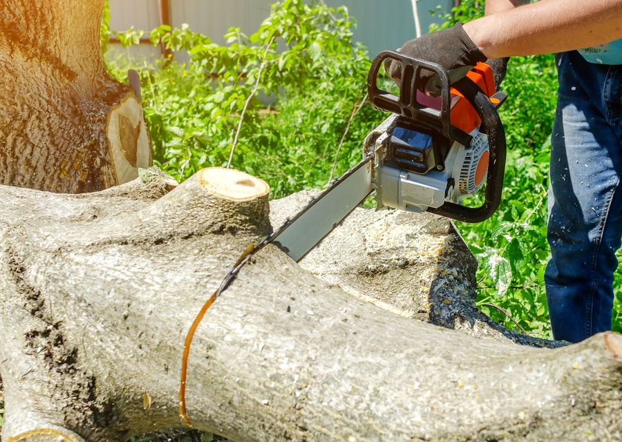 Tree trimming and pruning by We Care Tree Service in Winfield, IL