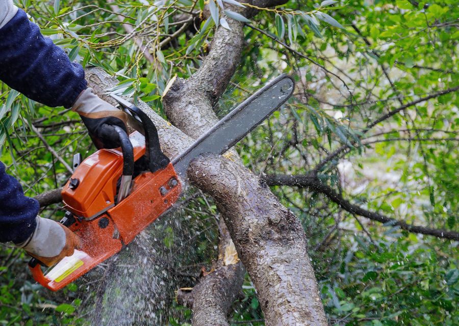 Tree trimming and pruning by P&P Landscaping and Tree Service in Confluence, PA