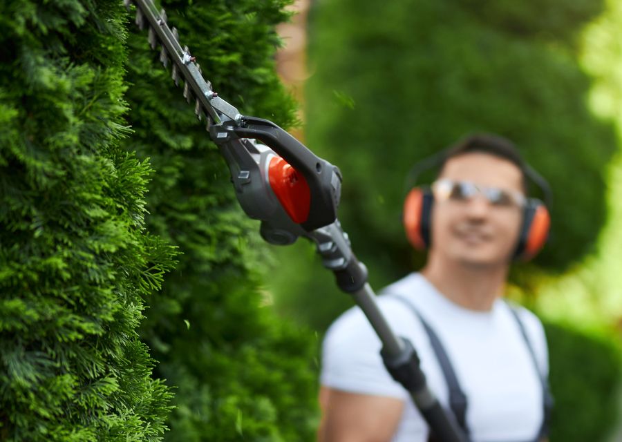 Tree trimming and pruning by Excel Tree Service in North Woodbury, PA