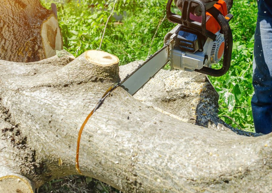 Tree trimming and pruning by M&C Lawn and Tree Service LLC in Fremont, NE