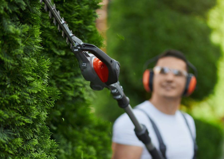 Tree trimming and pruning by Limbotomy Tree Service in West Hempfield, PA