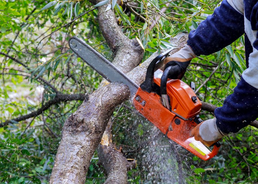Tree trimming and pruning by E&R Tree Service in Sanford, ME