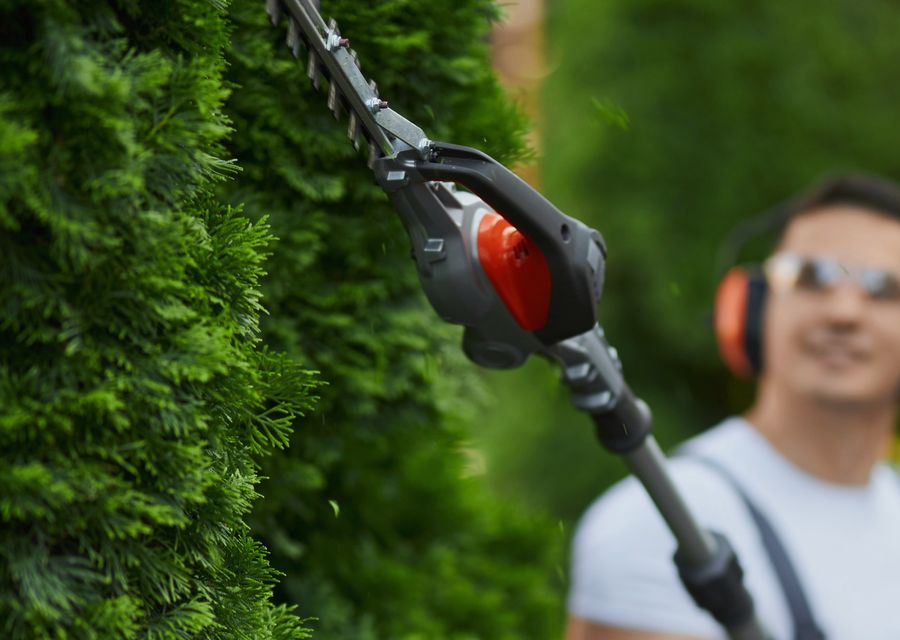 Tree trimming and pruning by Mr. Beaver Tree Services in Salisbury, PA