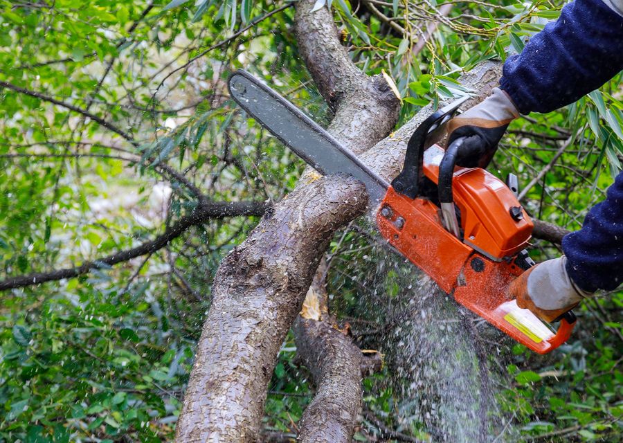 Tree service project by Gold Coast Tree Experts in Braselton, GA