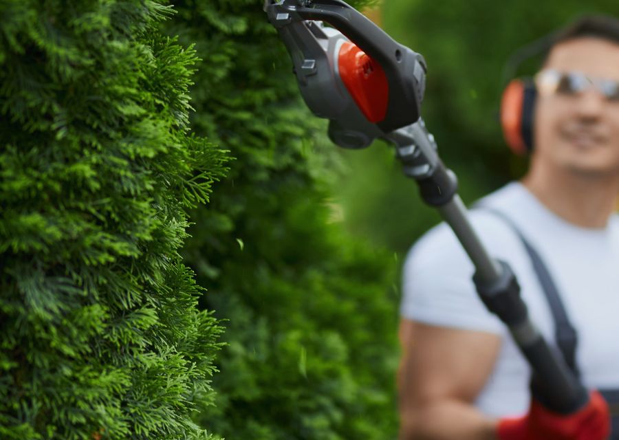 Tree service project by Nassau Tree Removal in Elmhurst, IL