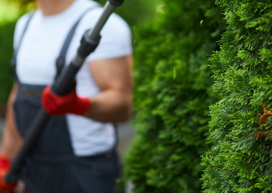 Tree service project by Family Tree Service, LLC in Mt Pleasant, PA
