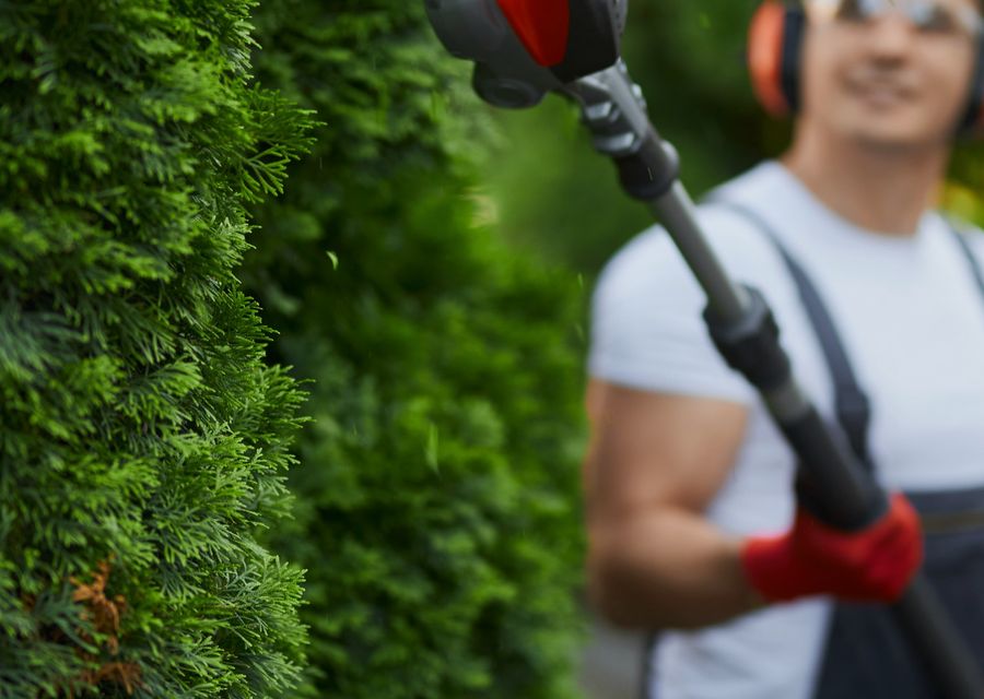 Tree service project by Fox Tree Service in Sugar Hill, GA