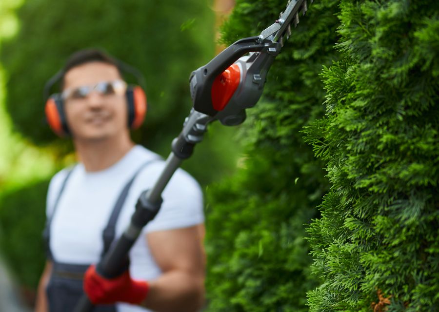 Tree service project by Inexpensive Tree Service in Monessen, PA