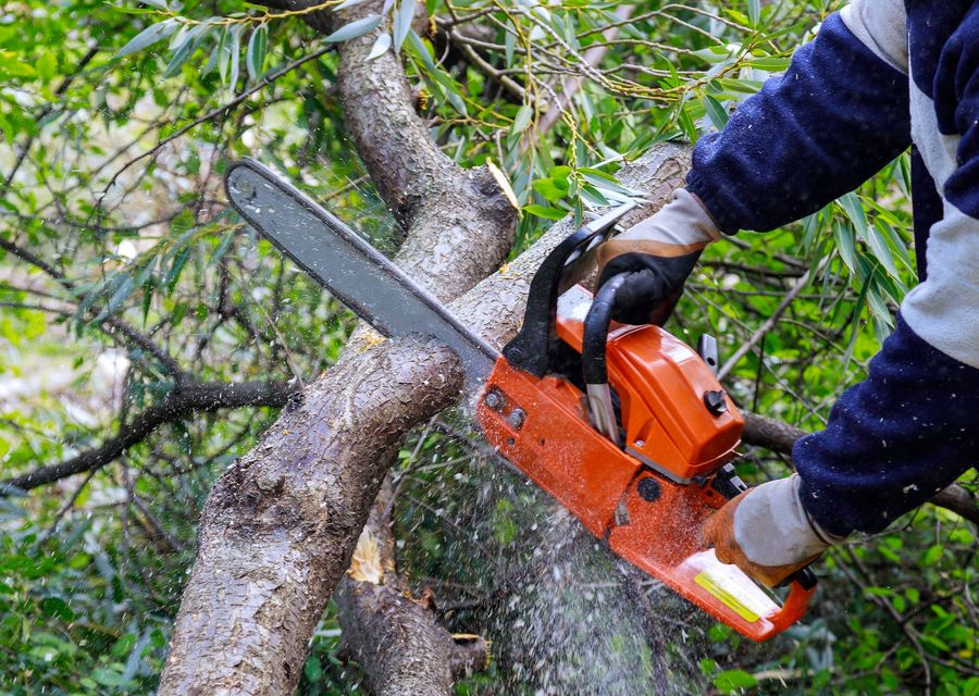 Tree service project by Freeport Tree Services in Powder Springs, GA