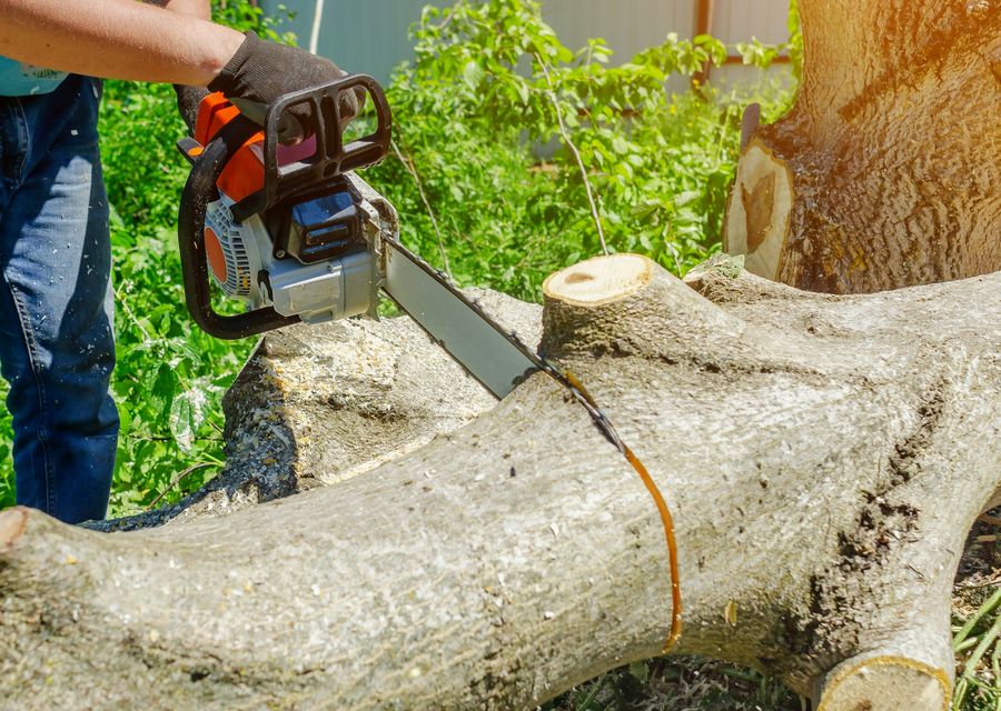Tree service project by Rmm Tree Service Corp. in Lee, NH