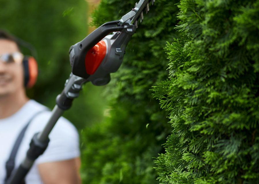 Tree service project by Jaguar Tree Service LLC in Pisgah Forest, NC