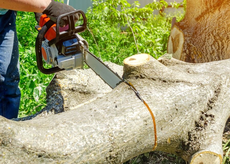 Tree service project by All Affordable Tree Service in Hometown, IL