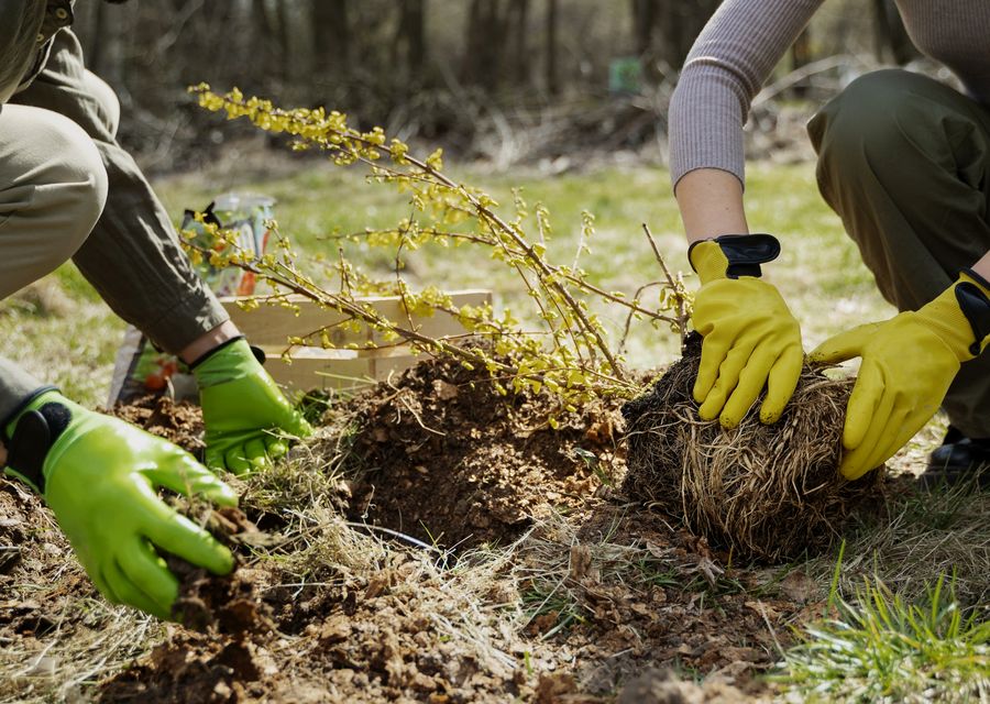 Tree service project by K&J Tree Service, LLC. in Iron Station, NC