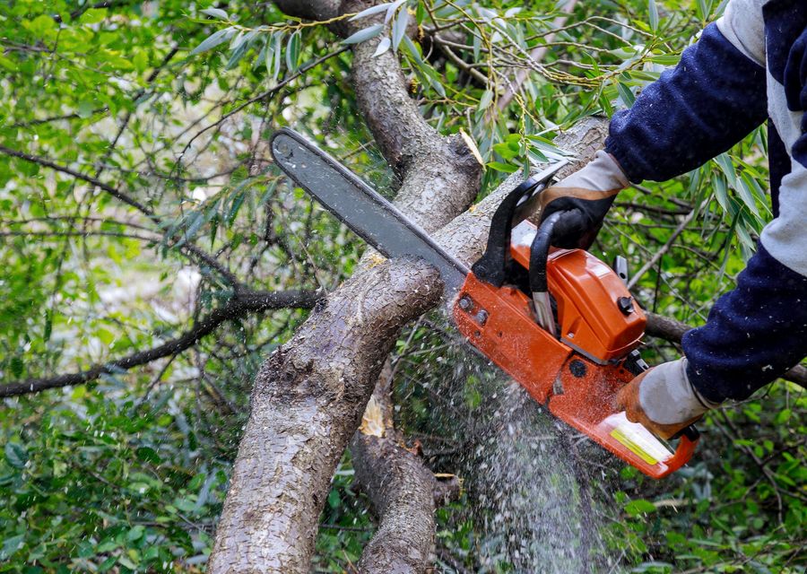 Tree service project by Marbin's Tree & Landscape Service INC in Joliet, IL