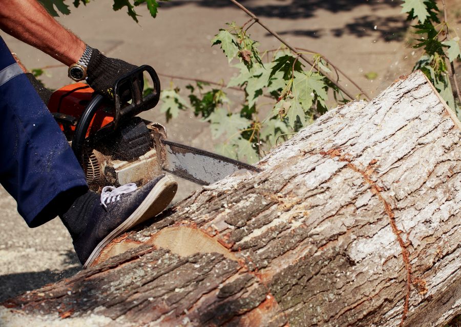 Tree service project by GreenLeaf Tree Care in Auburn, GA