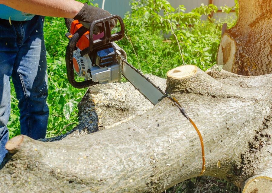Tree service project by Rocky tree troopers in Blythewood, SC