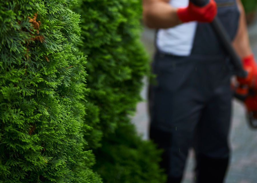 Tree service project by Arbor Ace Tree Service in Summit, IL