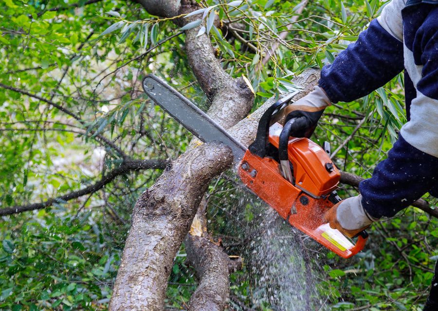 Tree service project by One Call Tree Service in Wilmington, IL