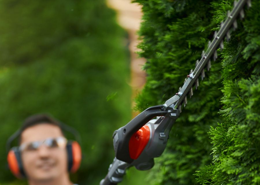 Tree service project by Family Landscape and Tree Service in Roswell, GA