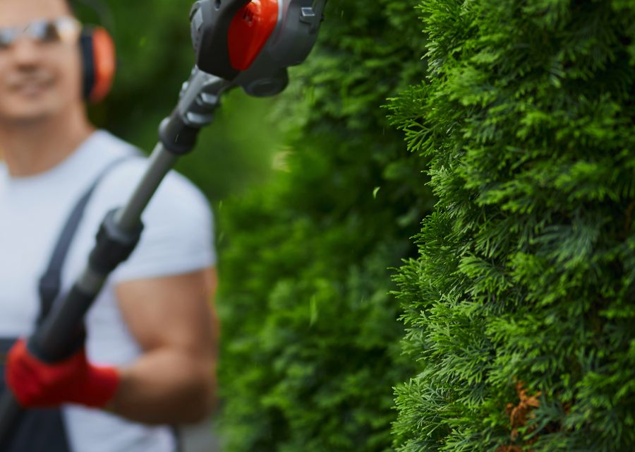 Tree service project by Cousins Tree Services in Lake Station, IN