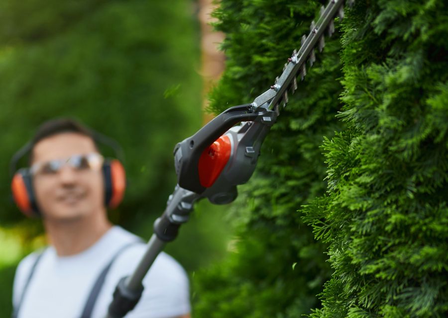 Tree service project by Julio's Tree Services LLC in Leicester, NC