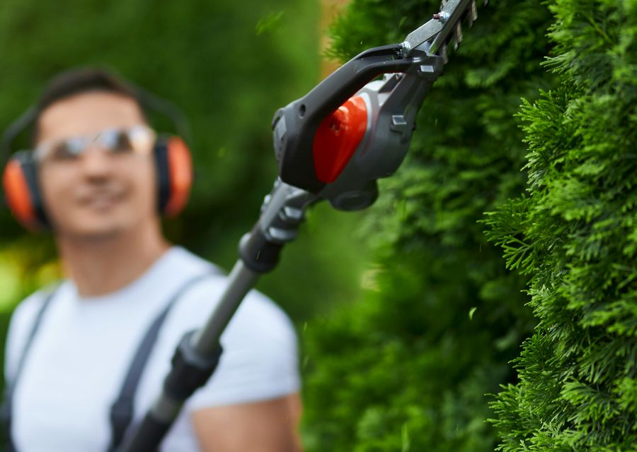Tree service project by The Giving Tree Service in Dripping Springs, TX