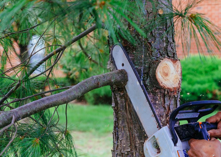 Tree service project by Hufnagel Tree Service in Swannanoa, NC