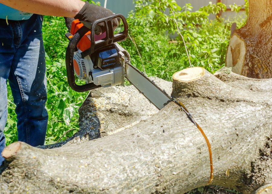 Tree service project by Arbor Tech Tree Service in Lakewood, CO