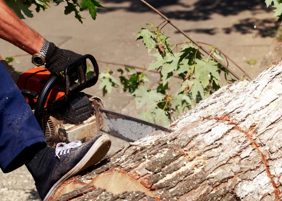 Tree service project by We Care Tree Service in Winfield, IL