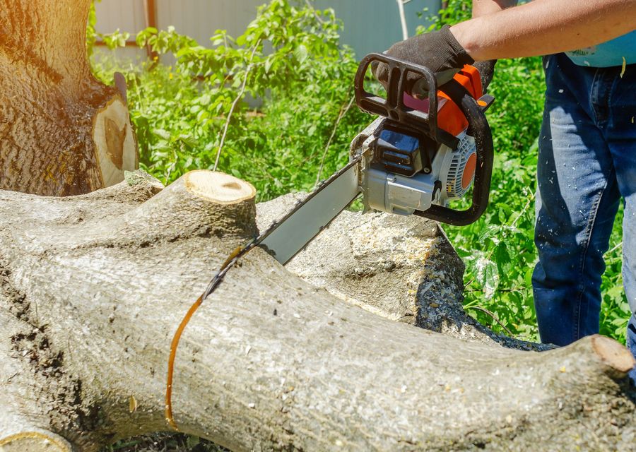 Tree service project by North Fork Tree & Landscape Inc. in Wheaton, IL