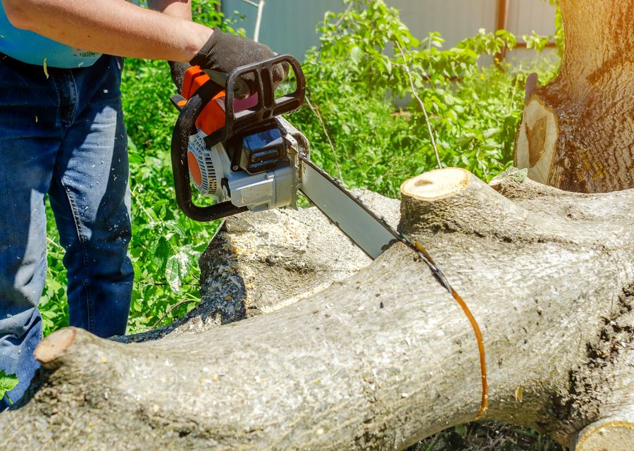 Tree service project by G.C. and Son Tree Service in Decatur, GA