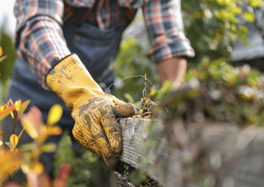 Tree service project by Valley Tree & Landscape Service Inc. in Channahon, IL