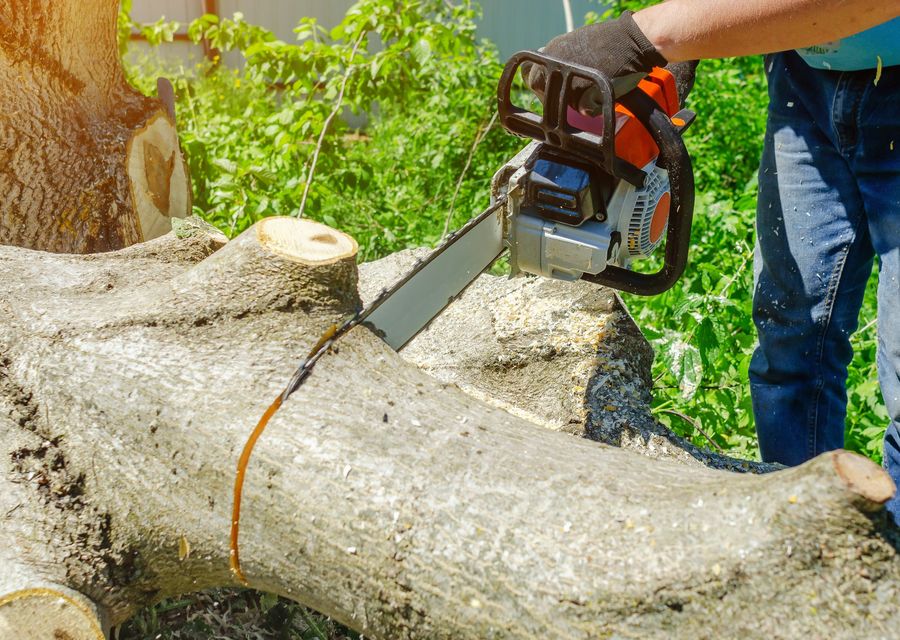 Tree service project by Palencia Landscaping and Tree Service Inc. in Fox Lake, IL