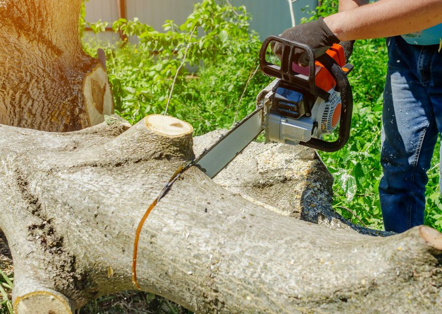 Tree service project by Emergency Tree Service in Bethel, PA