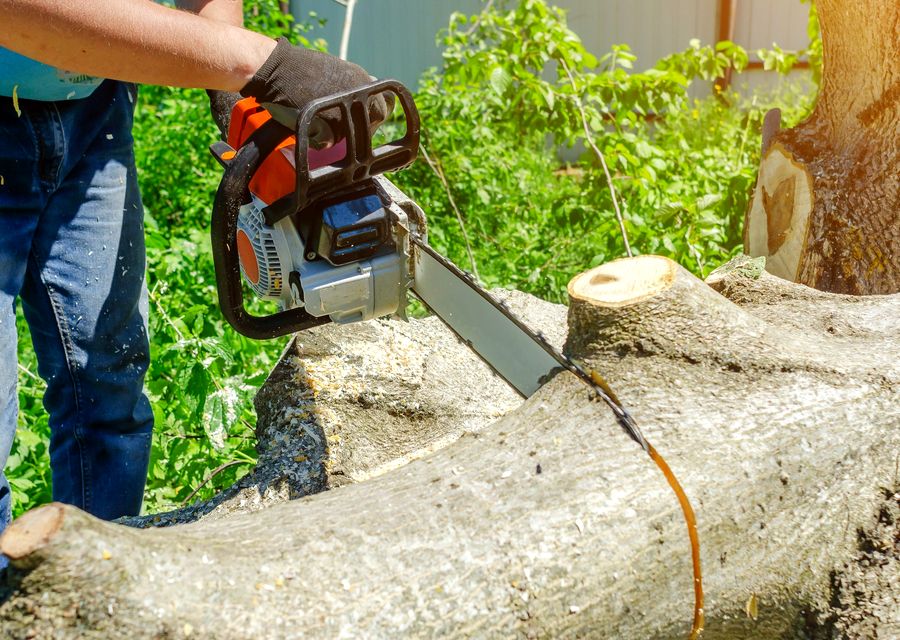 Tree service project by Tree Removal And Crane Service in Greensburg, PA
