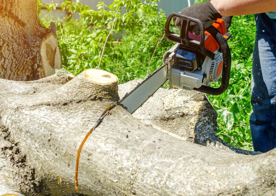 Tree service project by Apple Tree Services LLC in North Chicago, IL